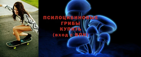 PSILOCYBIN Абдулино