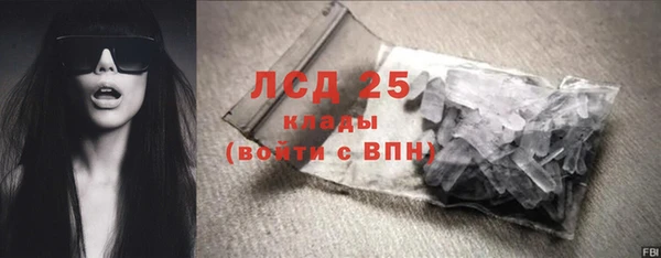прущие грибы Абинск