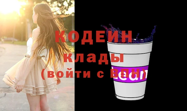 прущие грибы Абинск