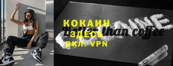 прущие грибы Абинск