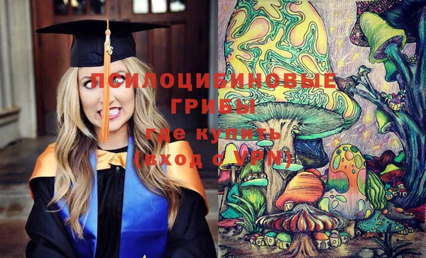 PSILOCYBIN Абдулино