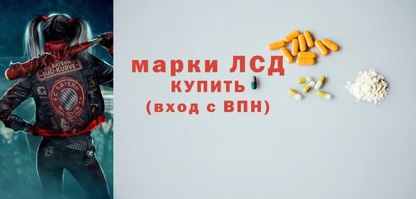 прущие грибы Абинск