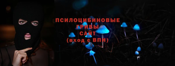 прущие грибы Абинск