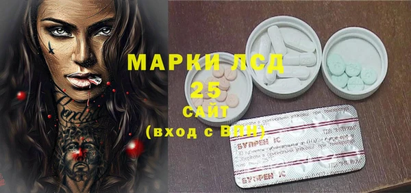 прущие грибы Абинск