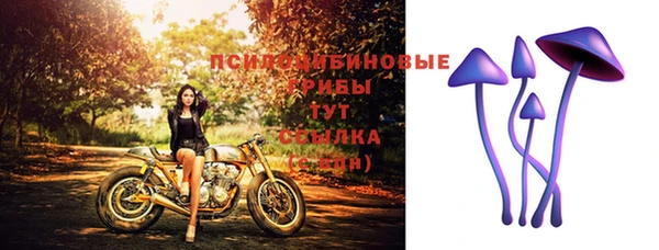 PSILOCYBIN Абдулино
