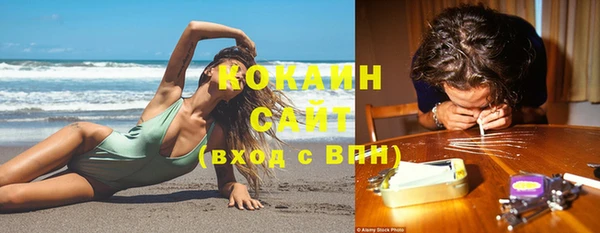 соль ск Абаза