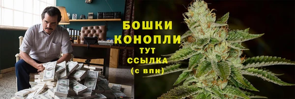 соль ск Абаза