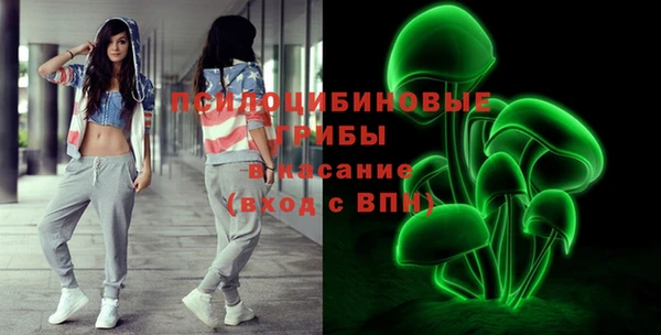 соль ск Абаза