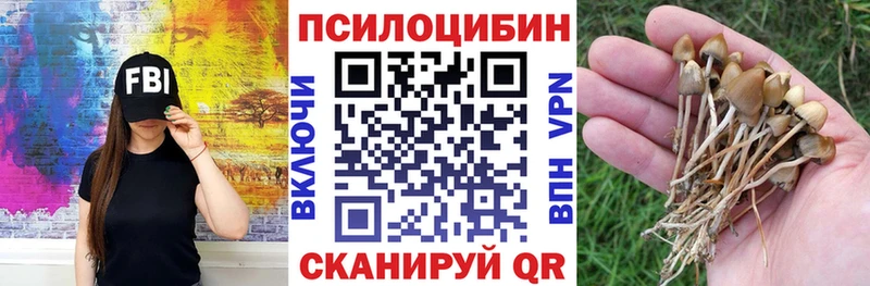 Псилоцибиновые грибы Psilocybine cubensis  Эртиль 